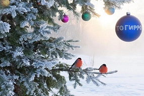 Изображение новости