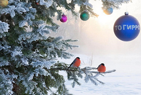 Изображение новости